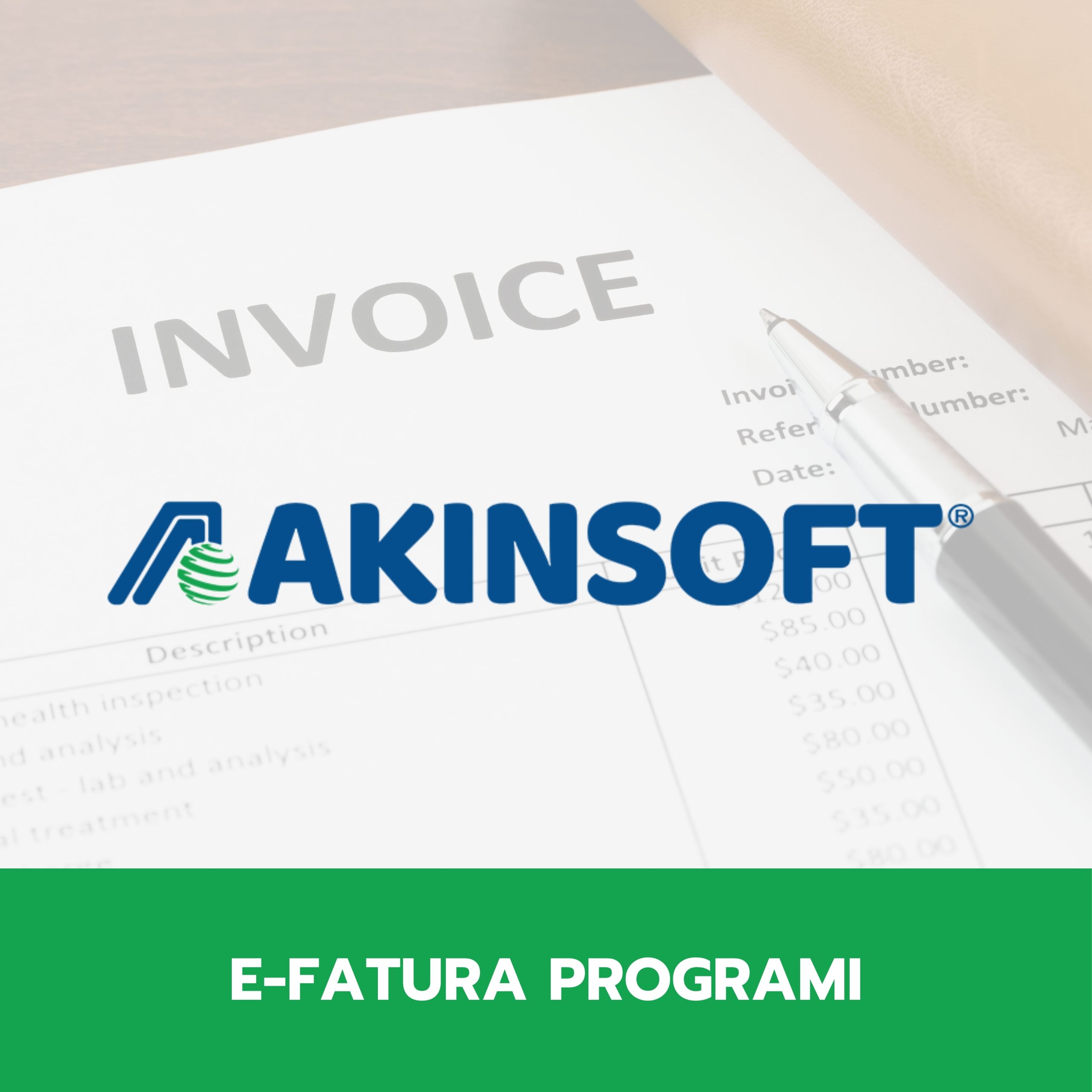 akinsoft-e-fatura-programi